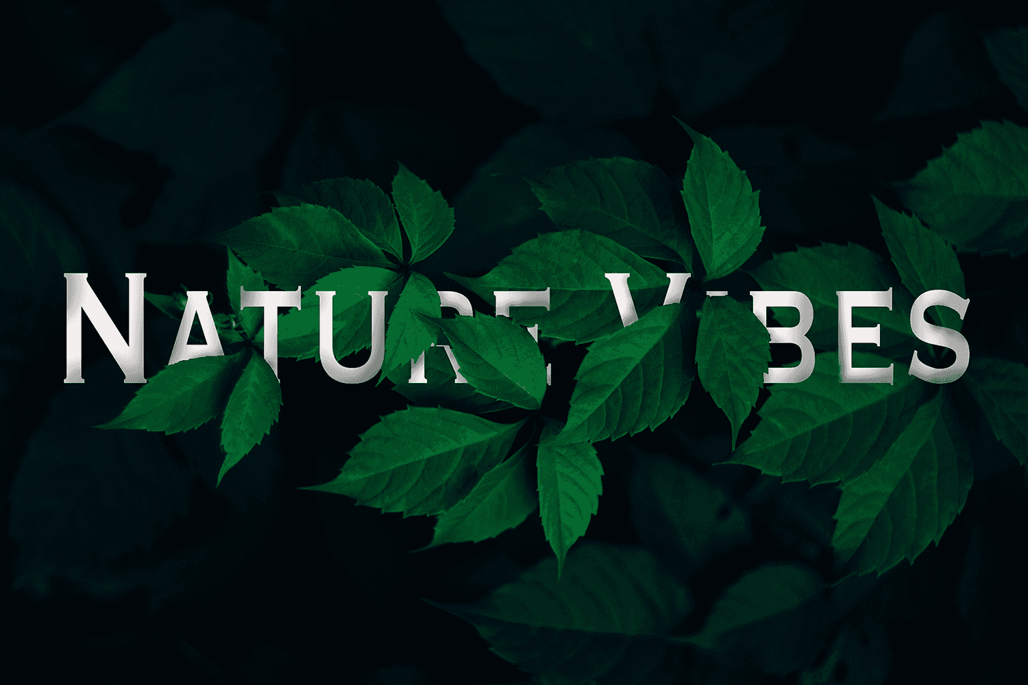 Nature Vibes