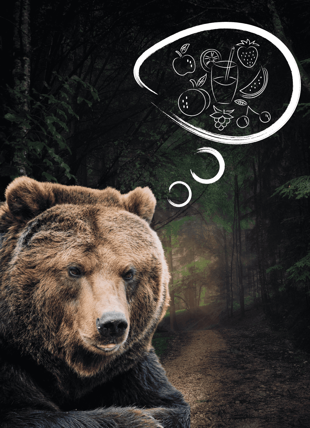 Bear's Fruity Dreams
